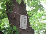 090504-3.jpg