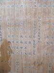 20100413-4.jpg