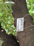 20100818-2.jpg