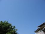 Img_2953.jpg